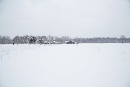 Winter Landscape-min